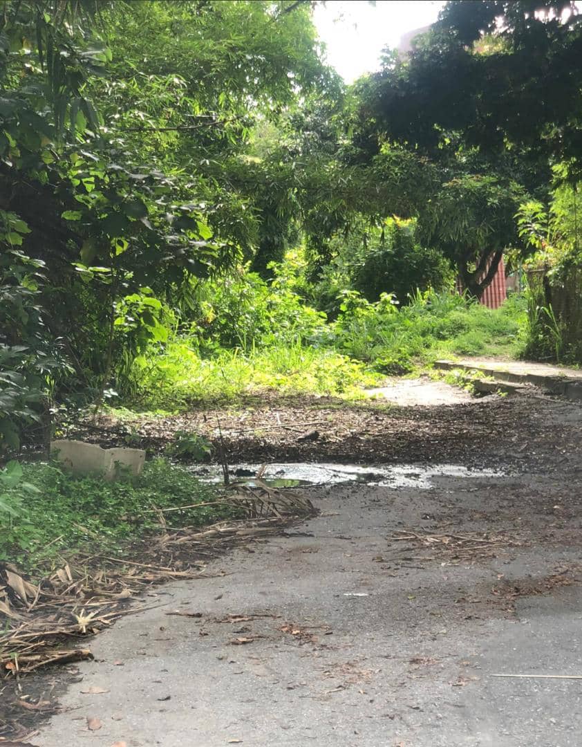 Asomanzanares tweet media