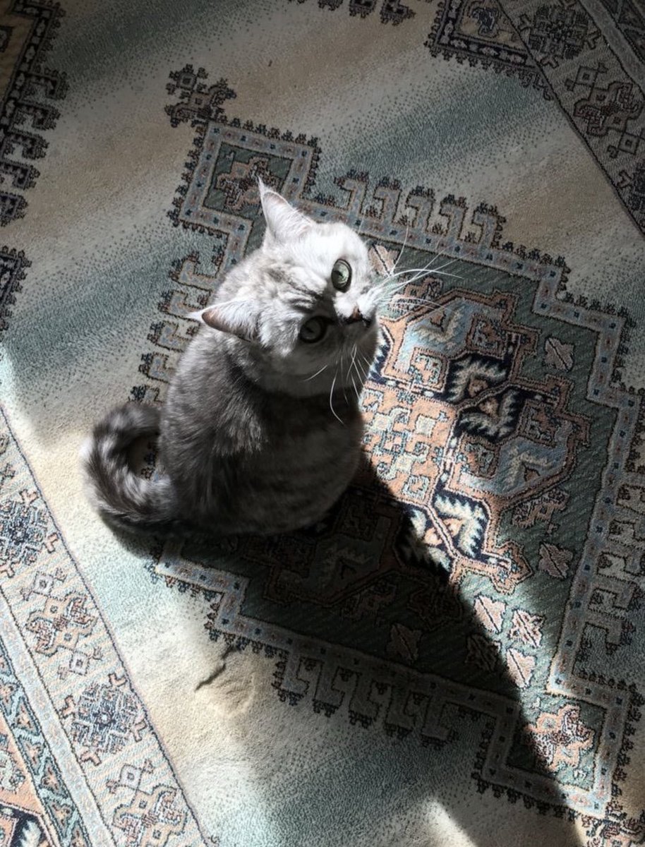 2vr00's tweet image. 