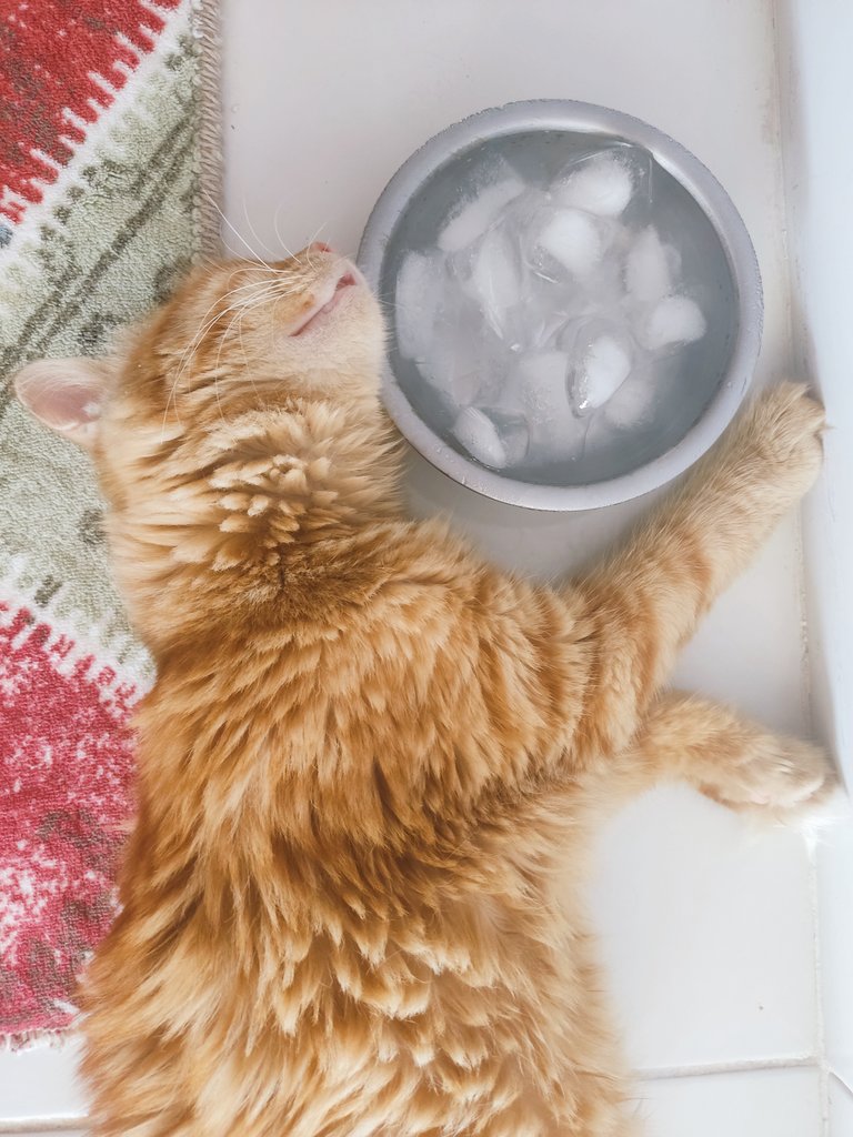 Eyyam-ı Bahur sıcaklarına karşı bizim önlem paketi