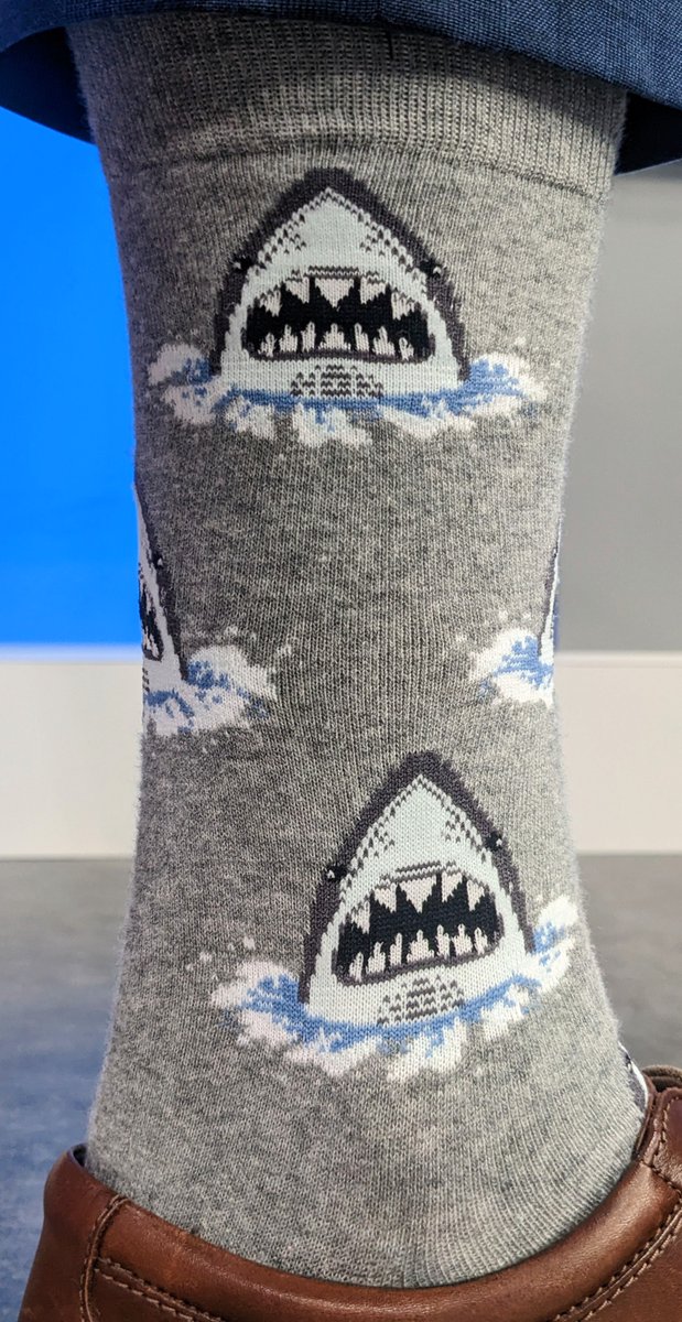 #Sundayfunday #Socks
It's almost the end of #summer, did you see any #sharks this year?