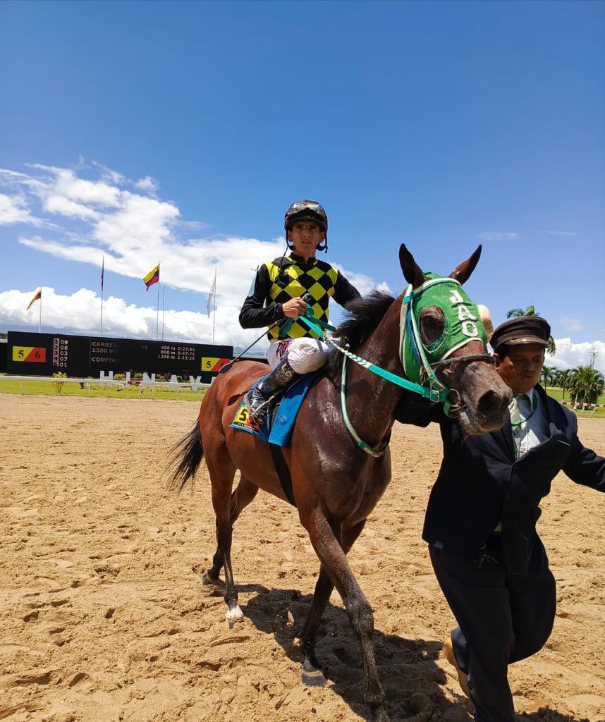 harasgransol's tweet photo. General Soldier (9) atropella para alcanzar la victoria bajo la conducción de LD Ávila y el entrenamiento de A Ortiz, en la 1era. carrera de la R15 en @OficialHinava @harasgransol #hipismo #caballos 

👉 https://t.co/M8Ju7KltS4 https://t.co/bRfZerj3yr