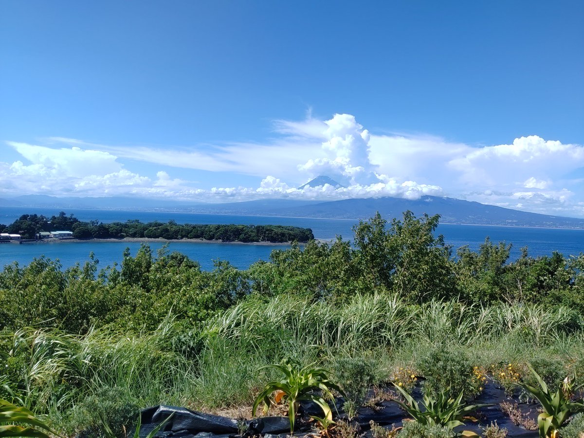 1ainuki's tweet photo. 昨日伊豆にシュノーケリングに行ったけど、富士山はずっと雲隠れでしたわ…
でも、まあまあカラフルな魚にギョニソ食わせられたので、嫁も子供も満足でした。 https://t.co/KOWgxfYgeX