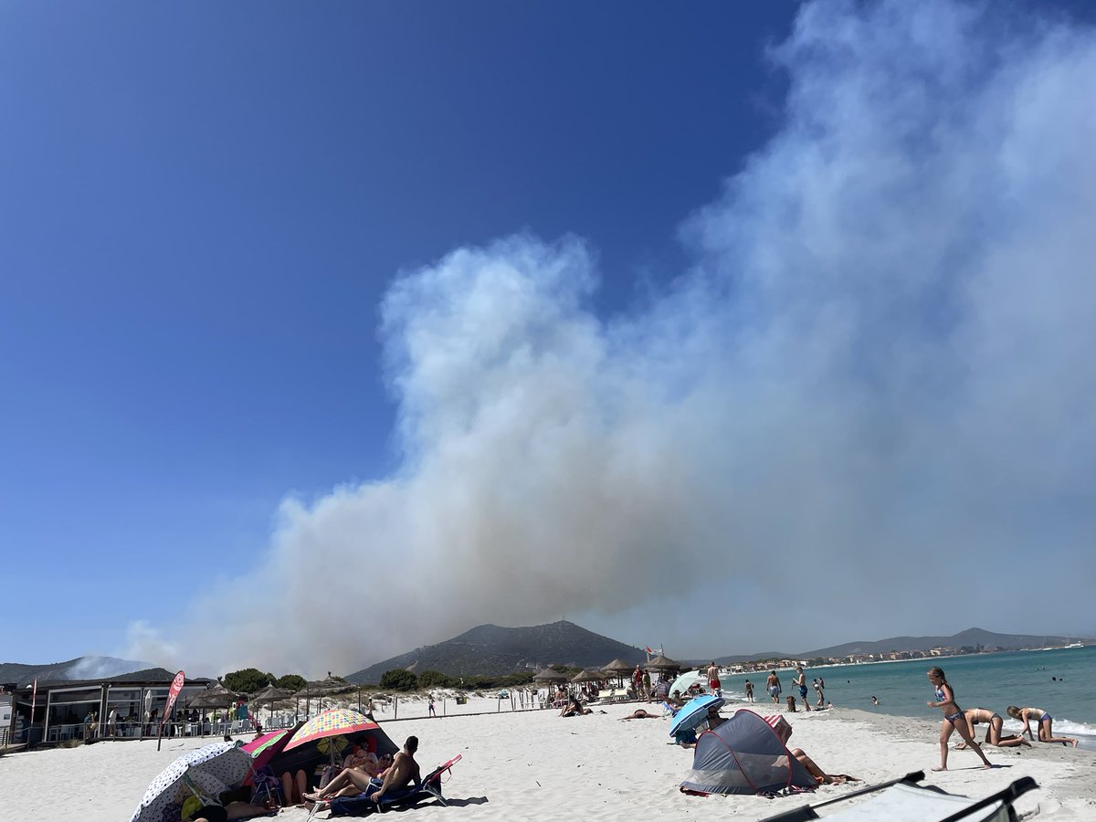 Ben Turner 🐙 tweet media