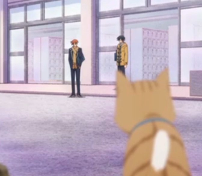 pov: you're the cat