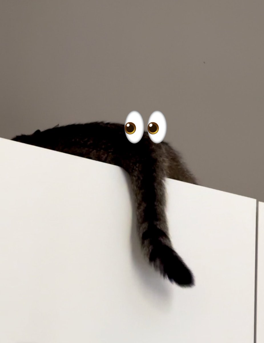 Hej <a href="/polizeiberlin/">Polizei Berlin</a> Auf meinem Schrank hat sich ein Löwe versteckt. 
Oder auch ein Elefant, ich hab ja keine Ahnung.
Könnt ihr helfen?