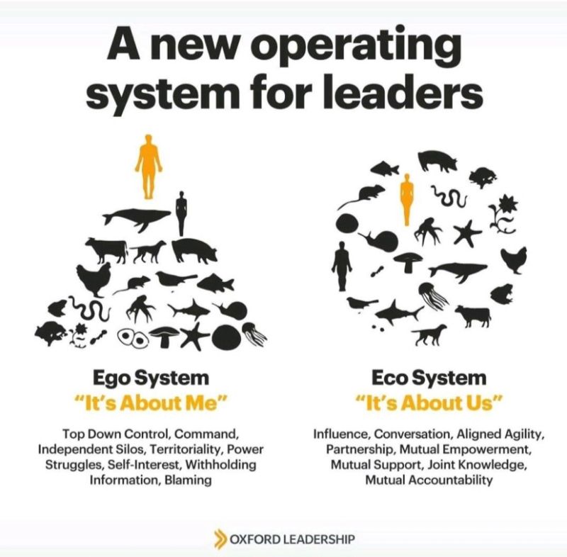 isa_iglesias_al's tweet image. Muchas empresas siguen instaladas en el modelo "ego system", pero la realidad es que no es fácil para muchos/as profesionales a pasar a un modelo "eco" por muchas ventajas que tenga.