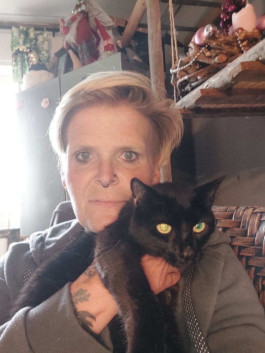 Die EINZIGE Hutz-Wutz-Farm und Bea's Miezhaus🐱 tweet media