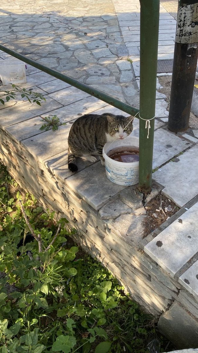 6 ay geçmesine rağmen ..

1.  Hatay’da su yok .
2. Hatay’da enkaz kaldırma yavaş ilerliyor.
3. Hatay’da yemek dağıtımı azaldı .
4. Hatay’da istihdam kalmadı .
5. Hatay’da giderler arttı,gelir kalmadı.
6. Hatay’da hastalıklar çoğaldı .
7. Hatay’da nüfusun çoğu Suriyeli .
8.