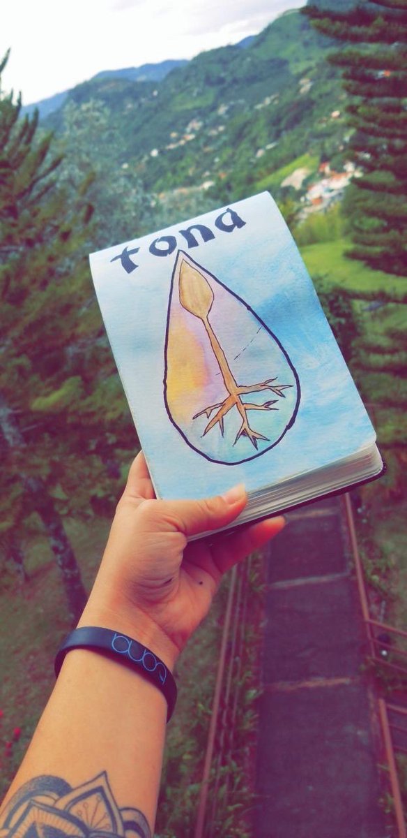 Tona Life tweet media