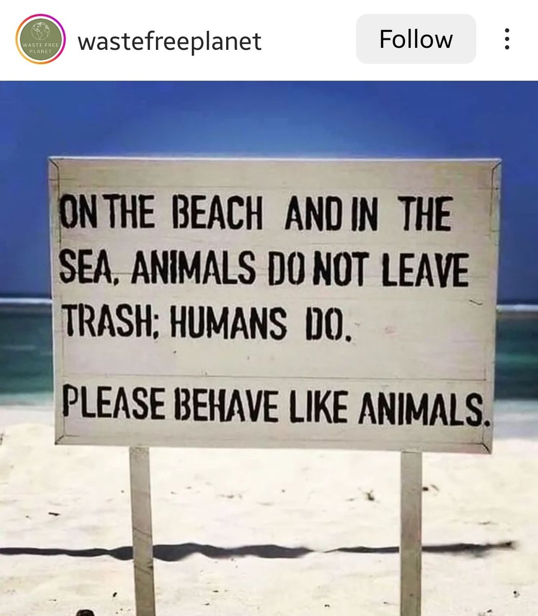 بالله ايش احساس الشخص اللي يرمي الوسخ في الارض و البحر يحس بعد ما يقرأ الكلام دا؟