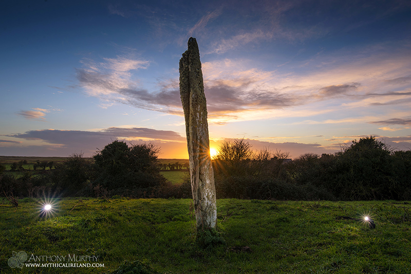 Mythical Ireland tweet media