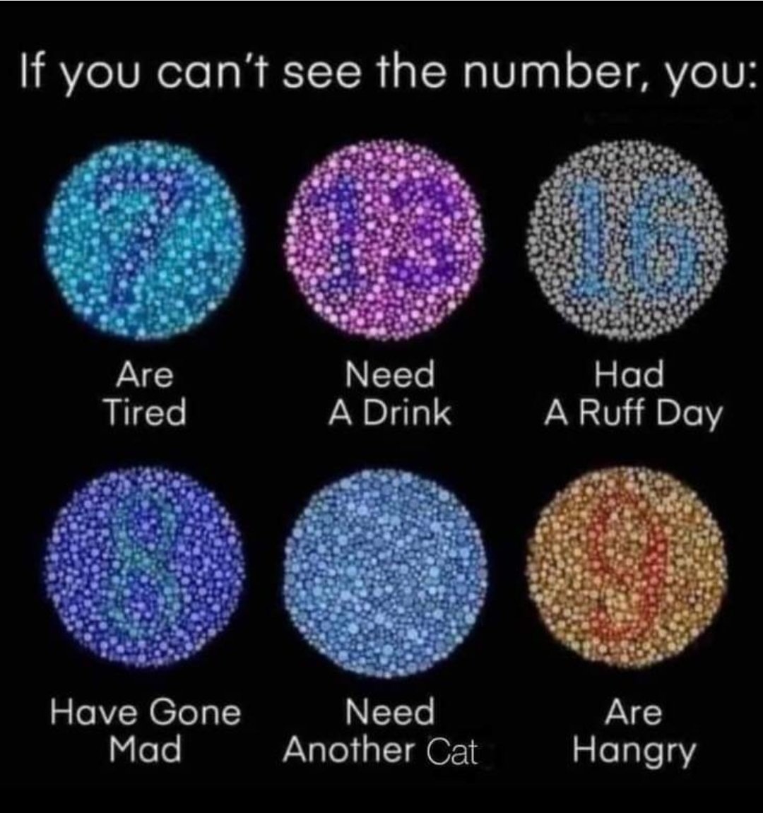 Wonder if I can get this past him indoors...