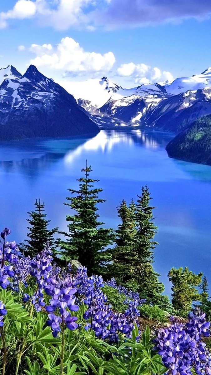 اجمل واروووع هندسة ٠  في العالم ٠ ان تبني جسراا٠ من الامل ٠ ع نهر من الياس ✨💫✨🌹🌹✨🌹🌹