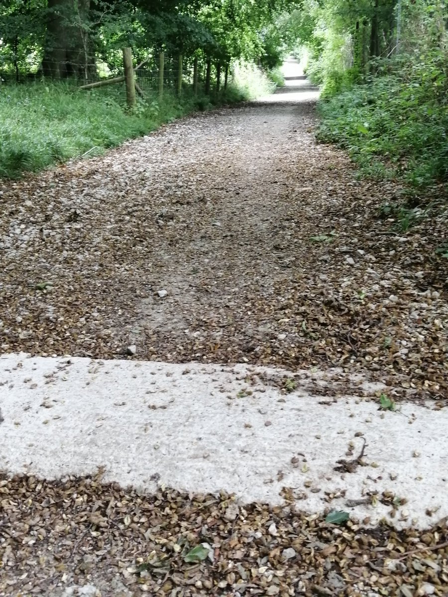 Tim Long tweet media