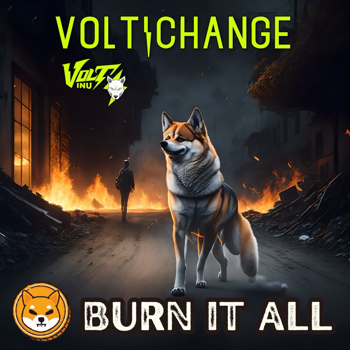 The #SHIBARMY bullish on #VOLTICHANGE and its burns! 

You love to see it ⚡️🔥