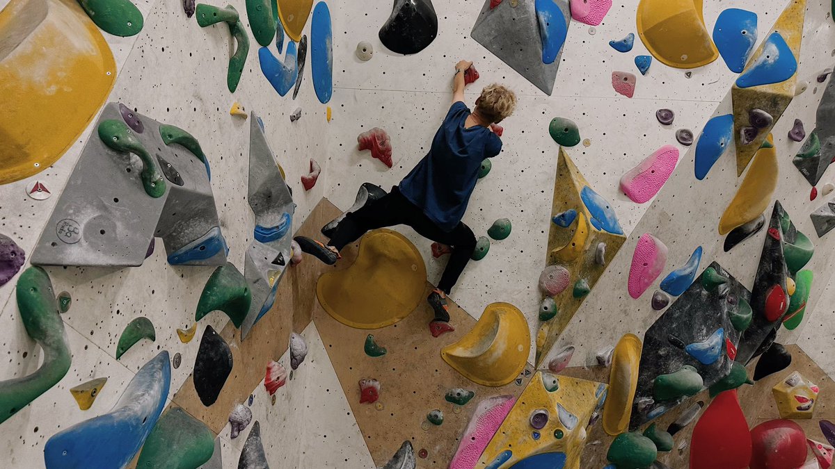 alex 👀 tweet media