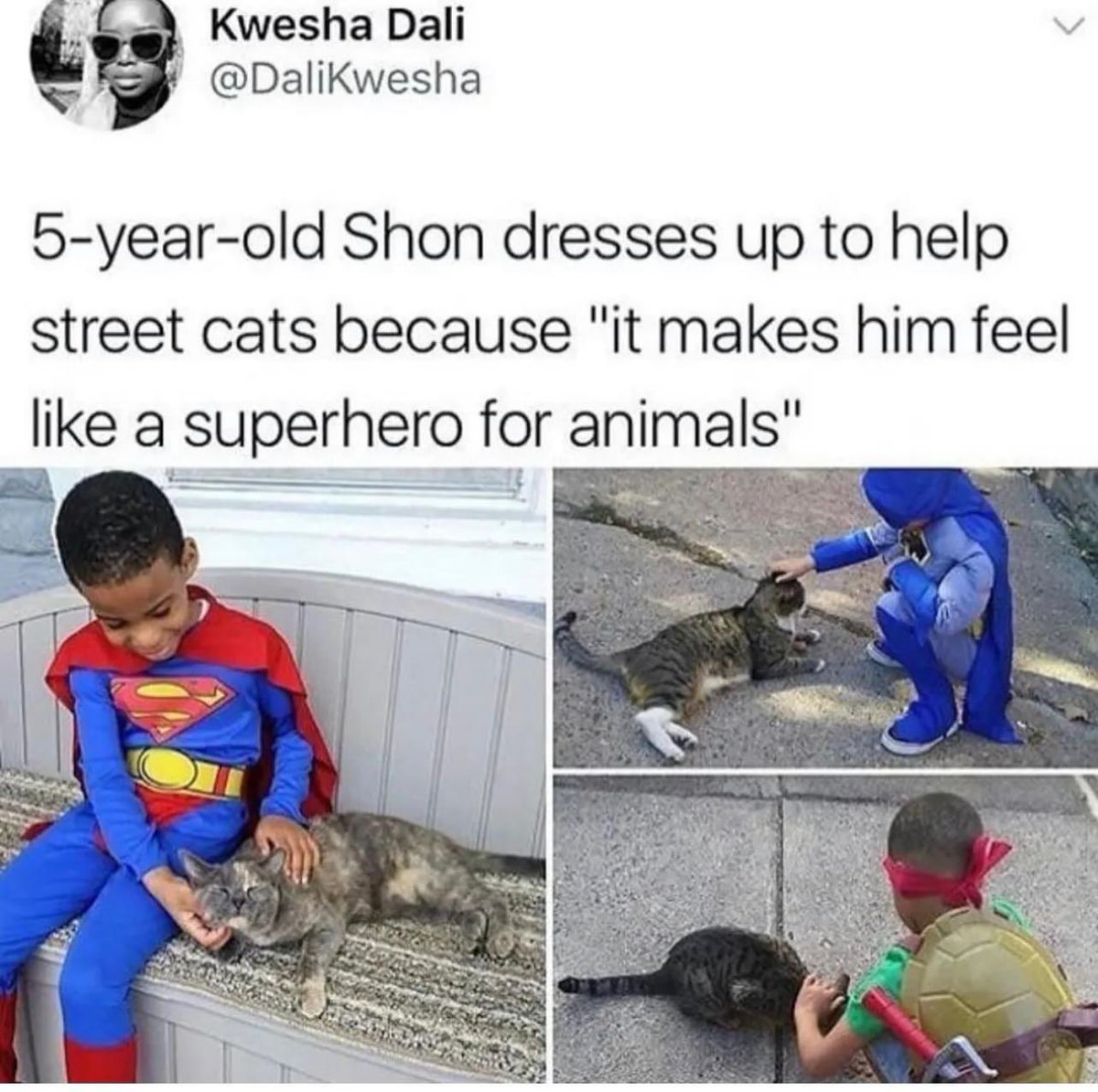 WholesomeMeme's tweet photo. Original tweet by Kwesha @DaliKwesha https://t.co/twnwwKHjMd