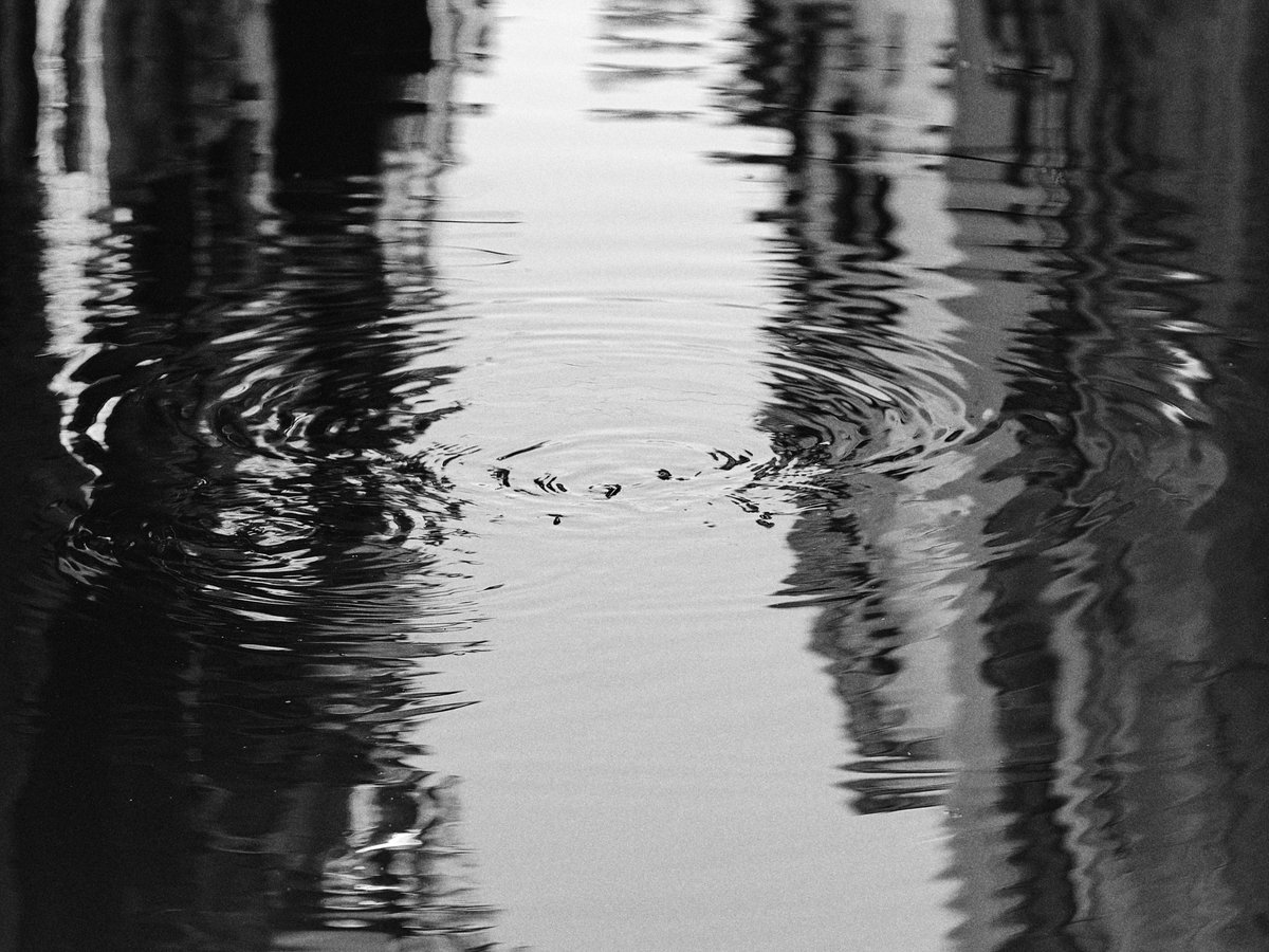 westcotttt's tweet photo. Venezia in Black &amp; White https://t.co/ldLIIW6rzK
