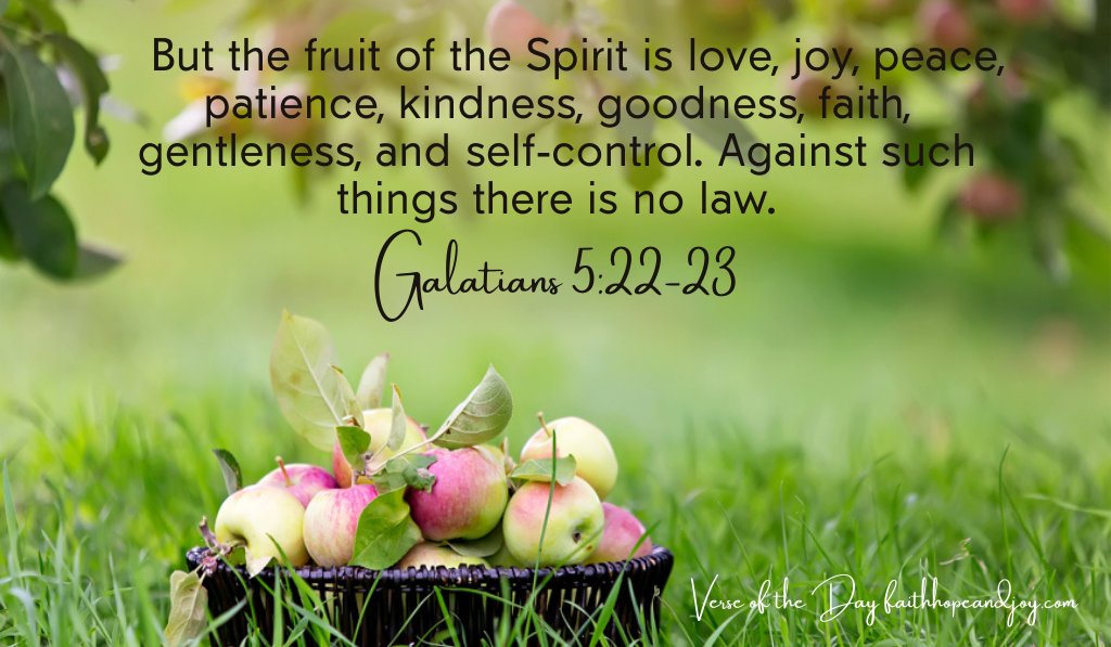 TrinityBurl's tweet photo. #galatians5verse22and23 #summer #rest #renewal #trinityburlington https://t.co/dO41YdiOgR