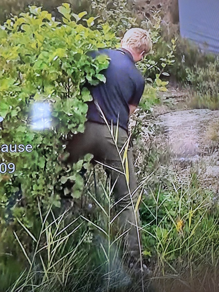 joar@Thorkelsen.no tweet media