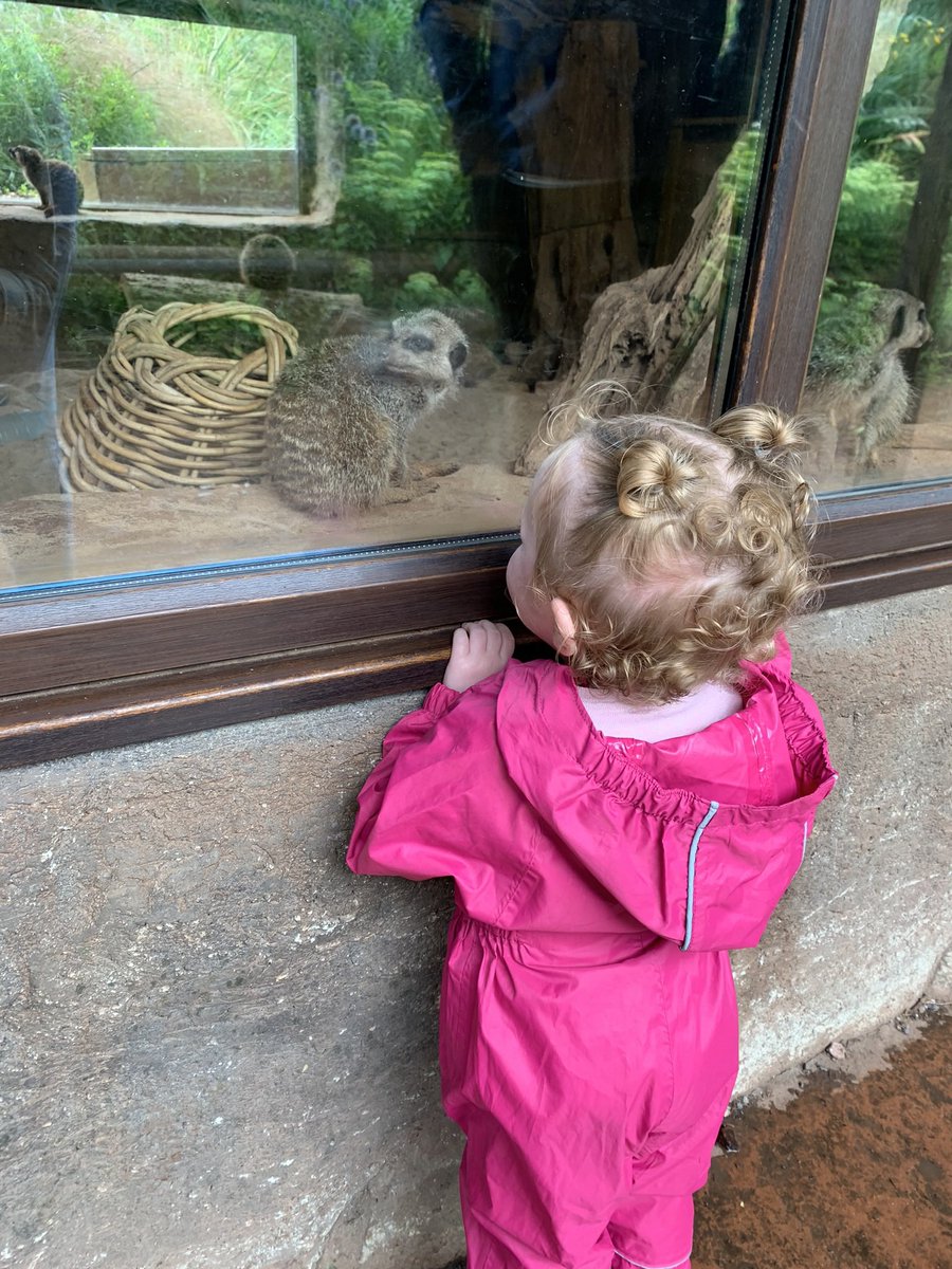 Mel Pressley tweet media