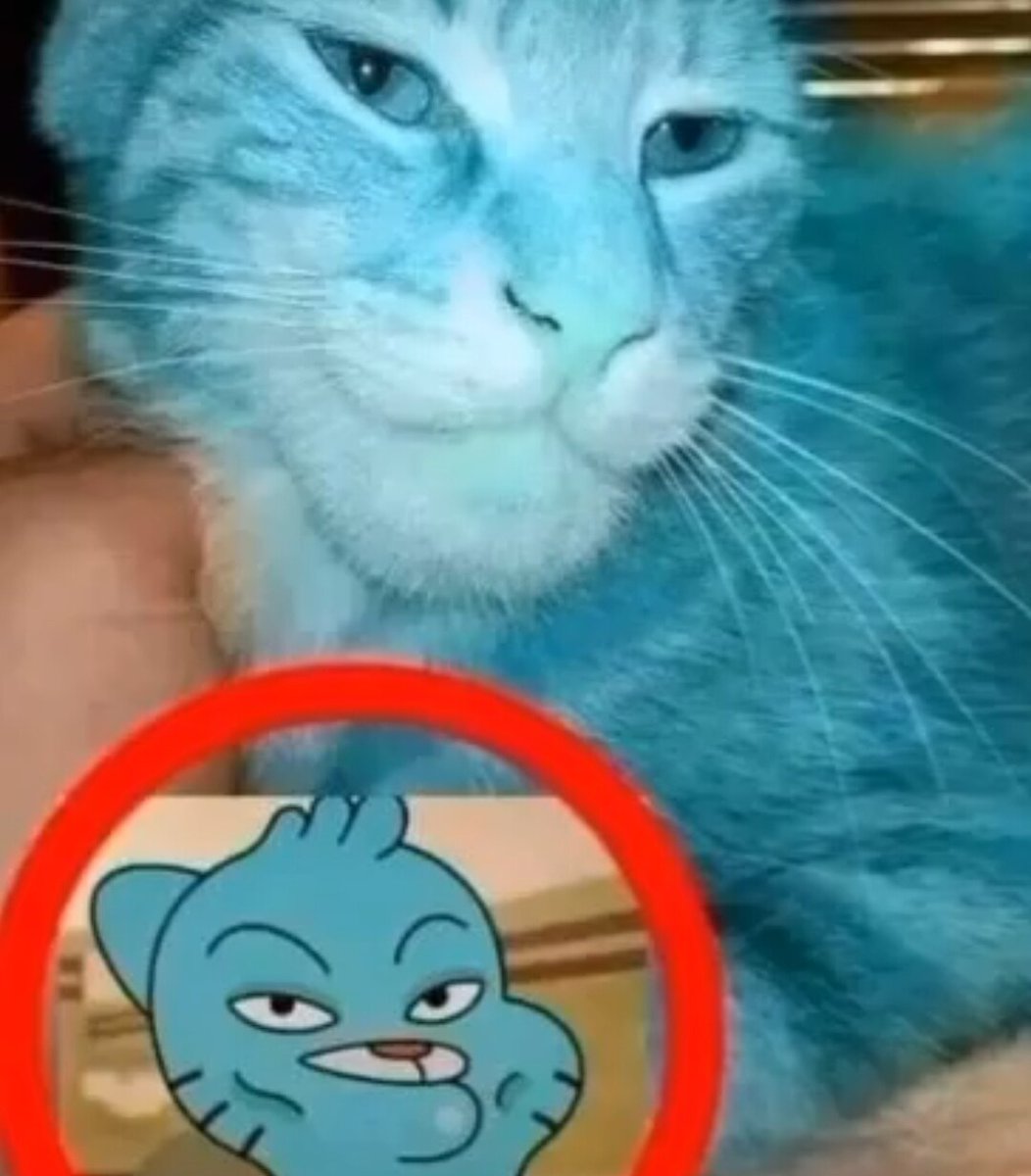 Shitpost só que de verdade (@shitpostverdade) on Twitter photo 