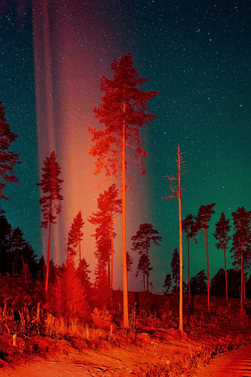 JFireeater's tweet image. gm

Heavenly Fire #1, by @maria_lax_