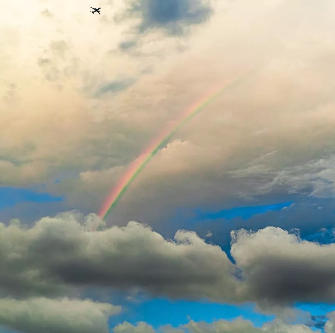 De echte.🌈