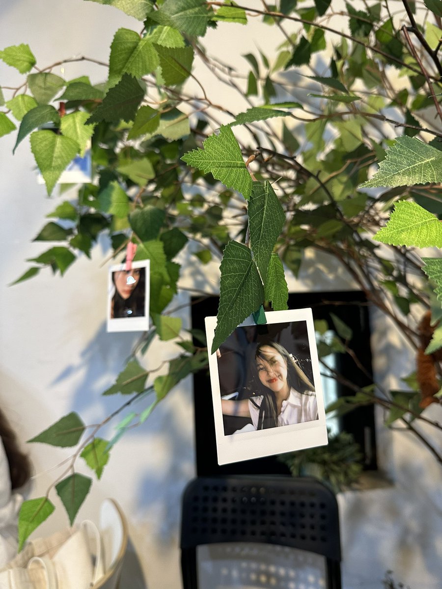 Ur_Banana's tweet photo. 생카 한쪽 코너에 프린이 미소가 주렁주렁 열린 나무가 있었다. 하늘, 햇살, 꽃, 풀 좋아하는 우리 애기가 비록 사진이었지만 편안하고 행복해 보였다. 예쁜 사진으로 걸어주셔서 감사합니다 :) 프린아 우리 이제 더 많이 웃자🤍

#여름은_언제나_프린이의_계절 
#srchafreen https://t.co/2pNMbyot8U
