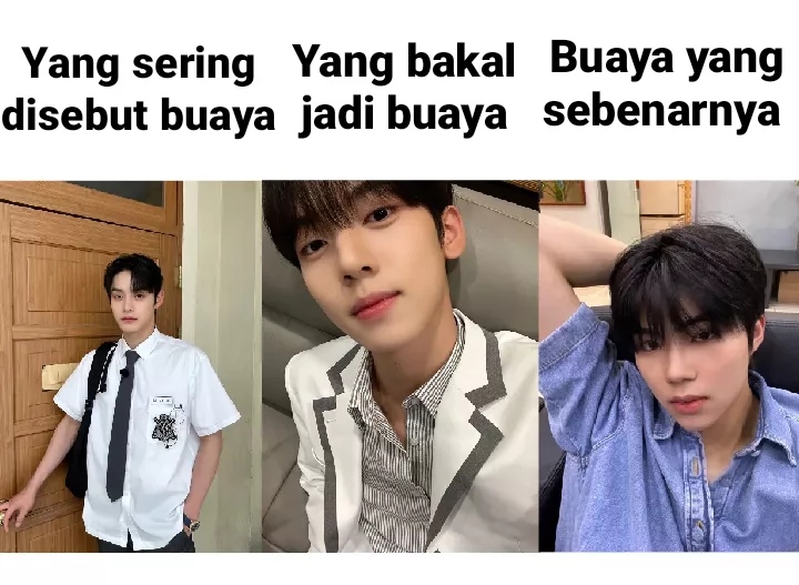 ZB1 AREA. tweet media