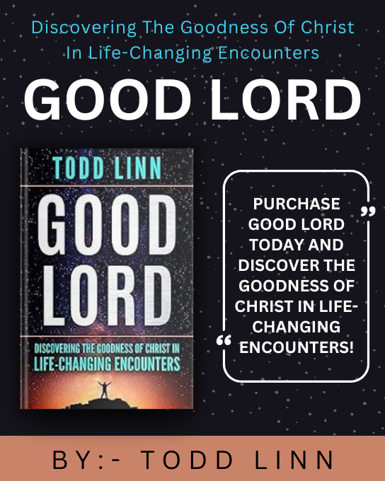 BookKnocks's tweet photo. Immerse yourself in the biblical stories of people who experienced personal encounters with Christ. Their lives will inspire and enrich your own faith journey. #ChristianStudy #NewTestament #Spirituality @toddlinn https://t.co/p58CuO0fkv https://t.co/7sSOU85AbV