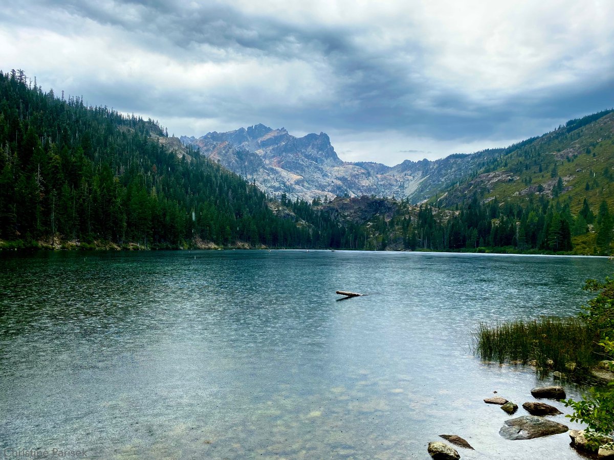 UC Davis Center for Watershed Sciences tweet media