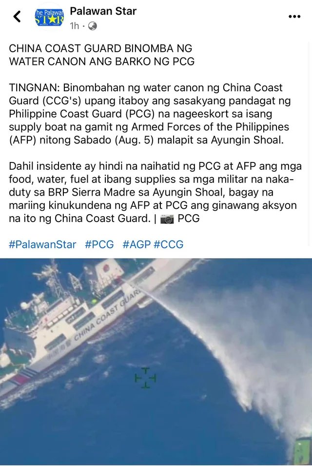 I wish the current chinese government would just die.