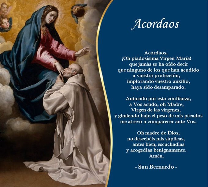 Franciscanode's tweet photo. ¡Qué inmensa alegría tener a María Inmaculada como nuestra Madre! Cada vez que experimentamos nuestra fragilidad y los impulsos del mal, podemos volvernos hacia Ella y nuestro corazón recibe luz y consuelo.
#BenedictoXVI
#Acordaos https://t.co/KTle5YBRIU