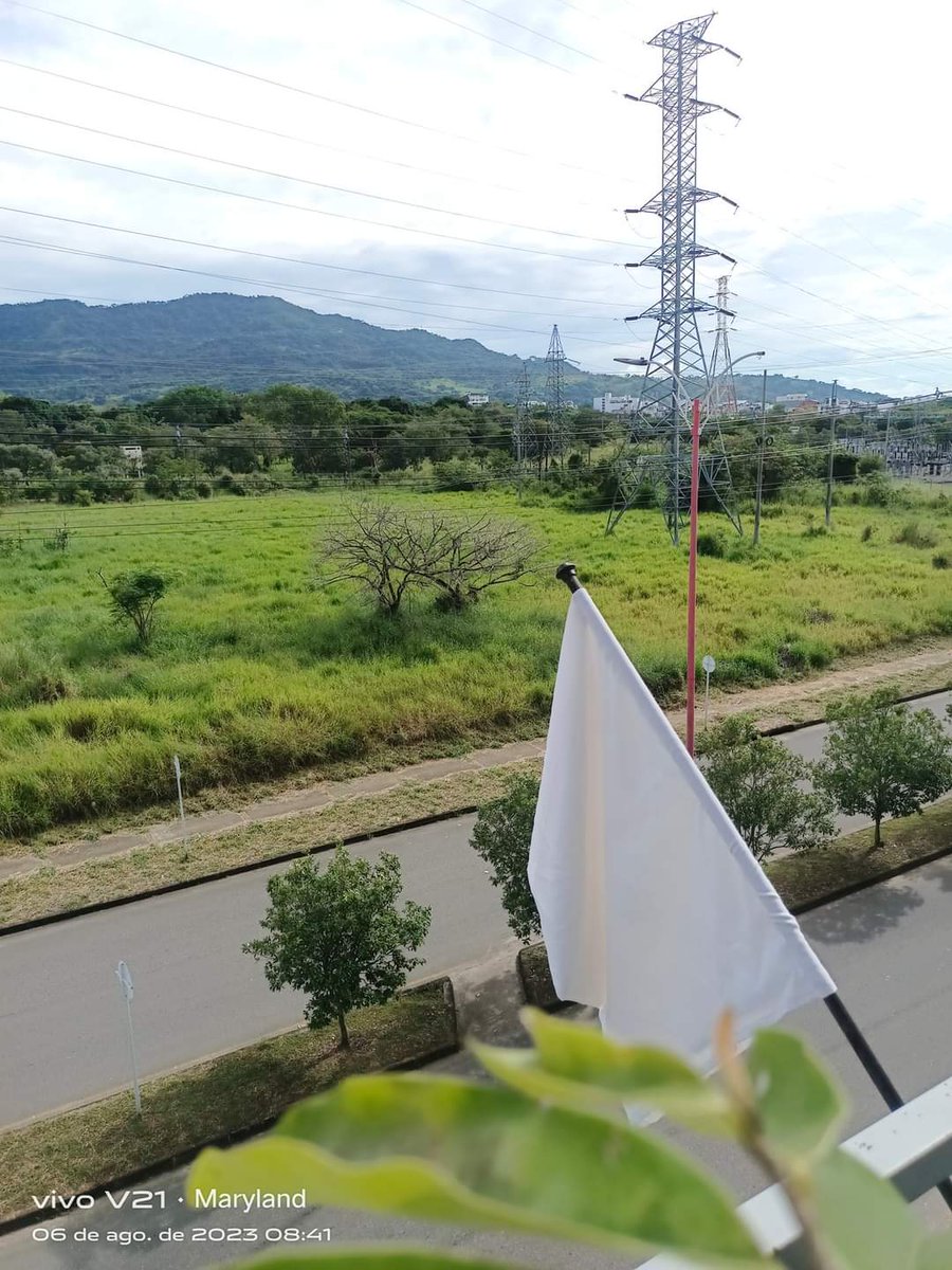 🙏🙏🙏#AvanzaLaPazTotal icemos nuestra bandera de la Paz con anhelo y esperanza Colombia🇨🇴 Jornada Nacional <a href="/petrogustavo/">Gustavo Petro</a> <a href="/ComisionadoPaz/">Consejería Comisionada de Paz</a> desde Yopal Casanare👍