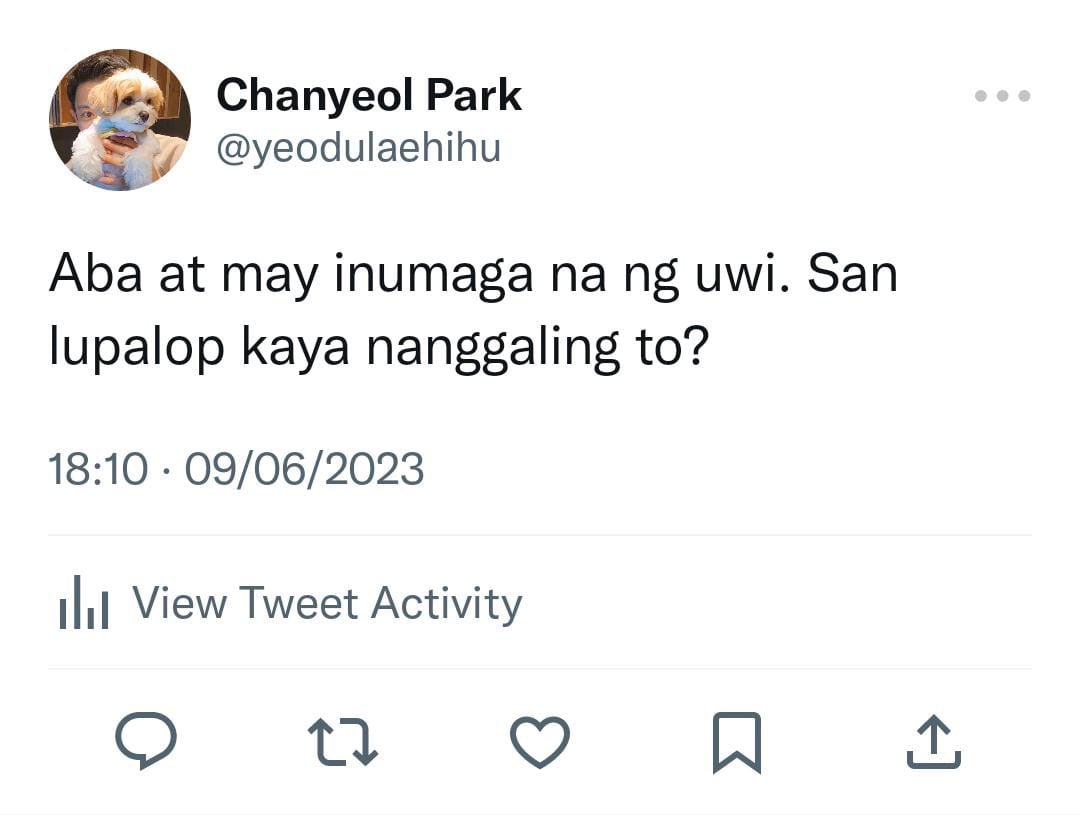 insywrites's tweet photo. 241. https://t.co/gEKv50c3hX