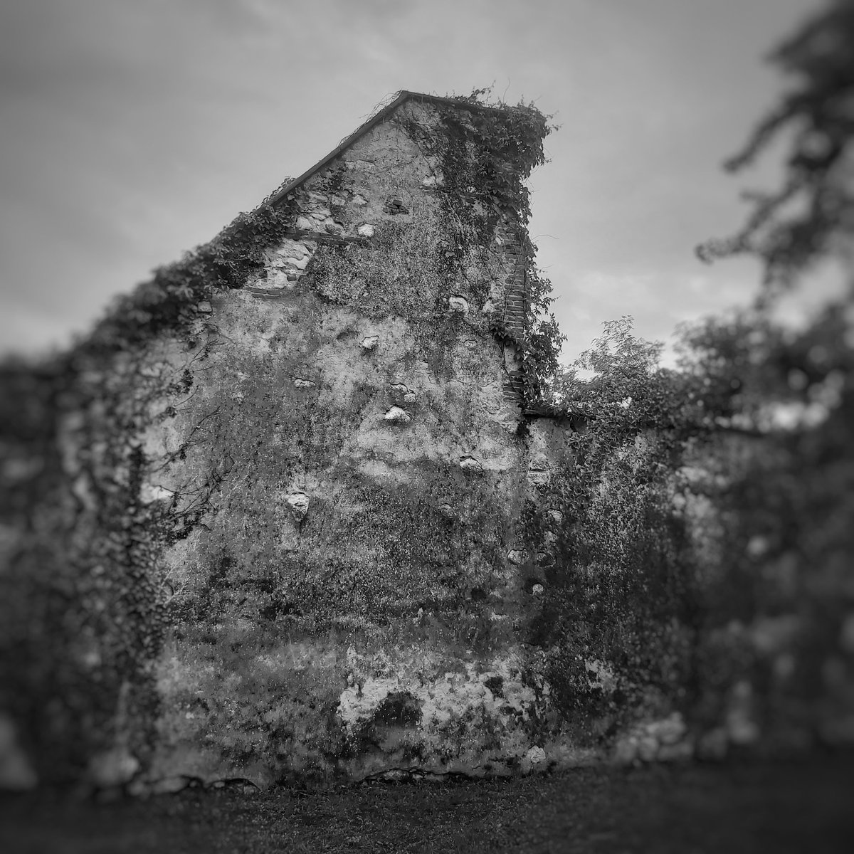 ClarkMail's tweet photo. Il Muro:
©️ Roy Clark 2023
#Wall #Muro #Parete https://t.co/RMLUYV1jqb