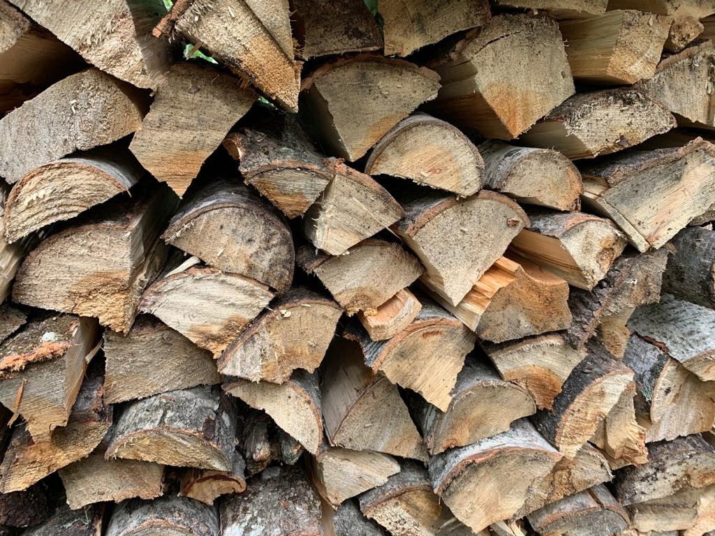 InvSp's tweet photo. Having a fire to celebrate the long weekend? Make sure to burn your firewood where you buy it. Don’t move firewood long distances as it can potentially transport invasive species. Learn more: https://t.co/htXculvvHA https://t.co/UBwCzE7L34