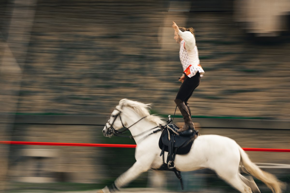 PuyduFou's tweet image. 🏇 Les cavaliers voltigeurs du Puy du Fou lancés à grande vitesse !​

Quelle a été votre réaction la première fois que vous les avez vus au Secret de la Lance ? ⤵️​

#PuyduFou #LeSecretdelaLance #Voltige 
©Puy du Fou