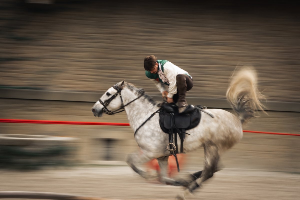 PuyduFou's tweet image. 🏇 Les cavaliers voltigeurs du Puy du Fou lancés à grande vitesse !​

Quelle a été votre réaction la première fois que vous les avez vus au Secret de la Lance ? ⤵️​

#PuyduFou #LeSecretdelaLance #Voltige 
©Puy du Fou