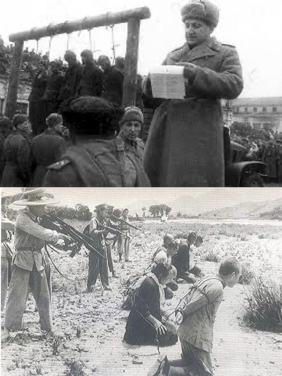 Xi Van Fleet tweet media