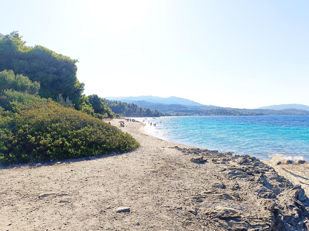 gentlelaura's tweet photo. Lagomandra ⛱️🇬🇷 #holidays https://t.co/DO6EjnHU01
