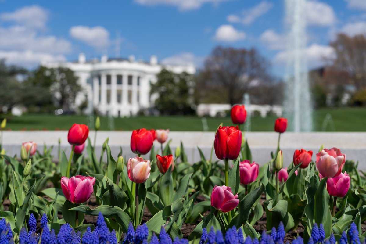 WhiteHouse46's tweet photo. Through the seasons. https://t.co/rlW54ItKBV