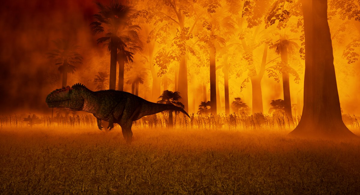 Pangea Survival Game tweet media