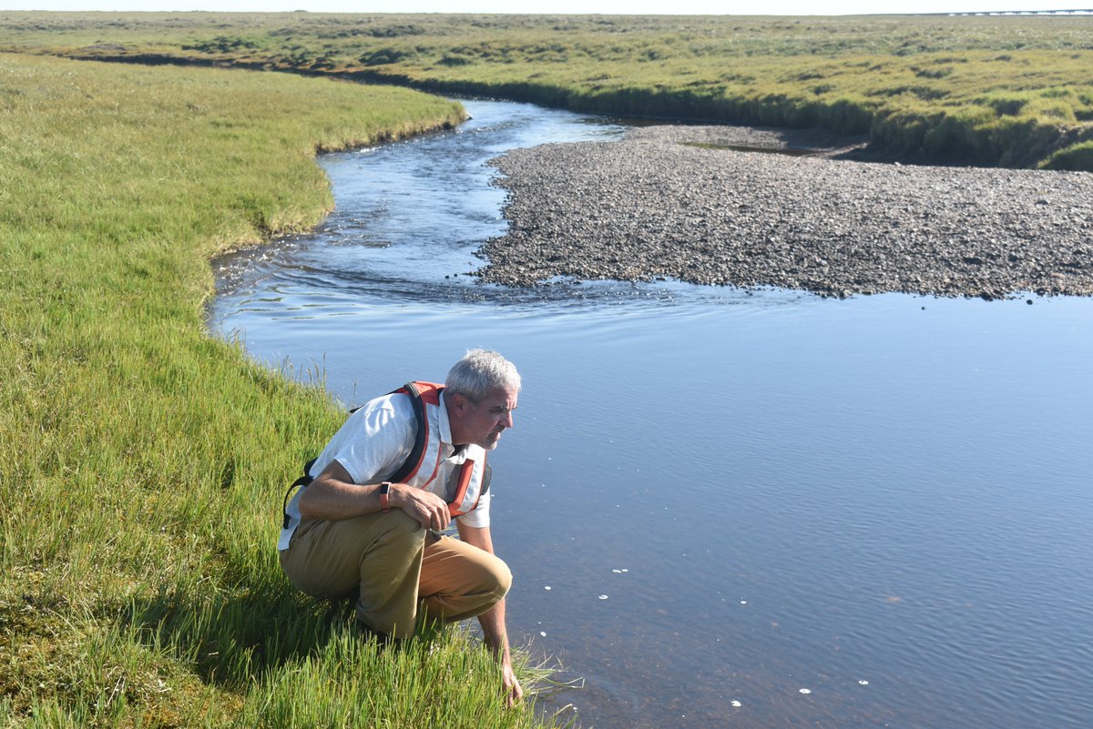 Members of our Beaufort Lagoons team wrapping up sampling of rivers near Prudhoe Bay, including the USGS-gauged Sagavanirktok and Kuparuk, and a small stream 8 km from the coast. Today heading south to foothills of Brooks Range. ble.lternet.edu <a href="/polargriffin/">Claire G. Griffin</a> <a href="/hardisonlab/">Amber Hardison</a>