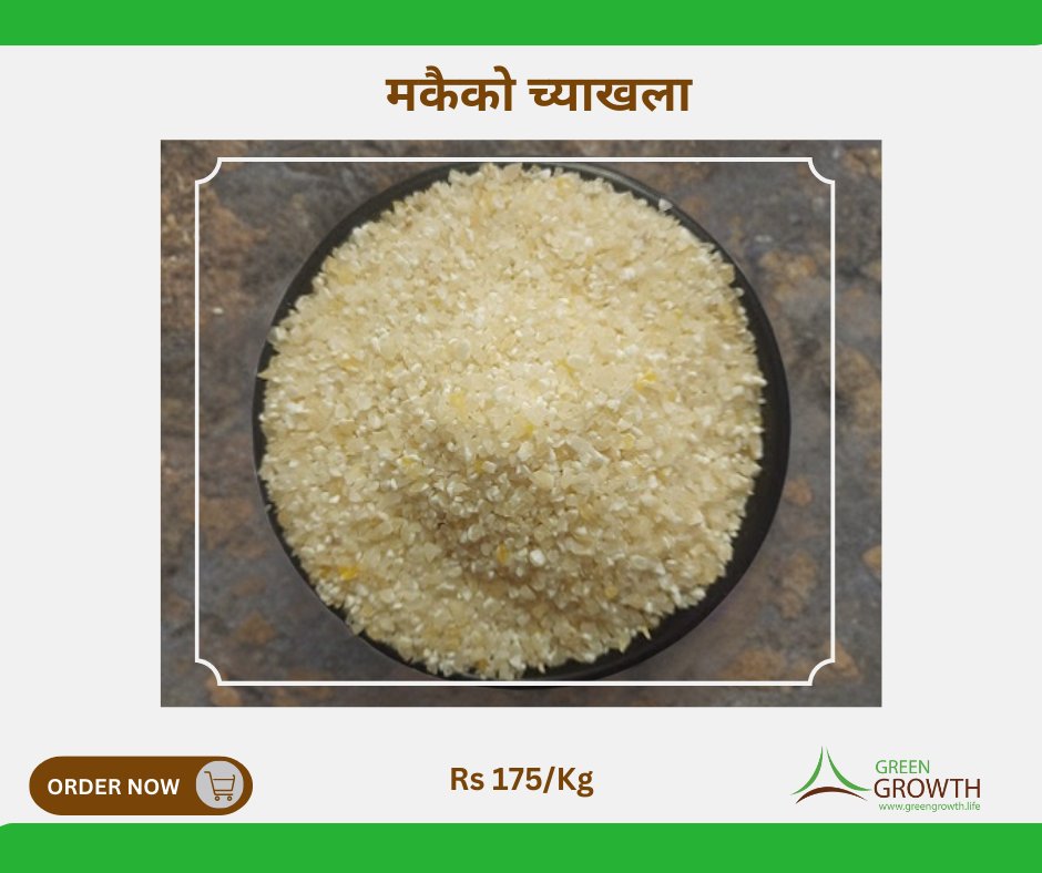 KARESAorg's tweet image. के तपाई लाई थाहा छ ?
मकैको च्याख्लामा प्रशस्त मात्रामा फाइबर हुने भएकोले पाचन प्रणालीलाई राम्रो बनाउँछ  र पेट सफा रहन्छ । यसमा विभिन्न भिटामिन मिनरल्स पनि पाइने भएकोले यसले शरीरलाई चाहिने पोषण पनि दिन्छ ।

greengrowth.life/product-detail…
#greengrowth #localproduct #jumla #nepal