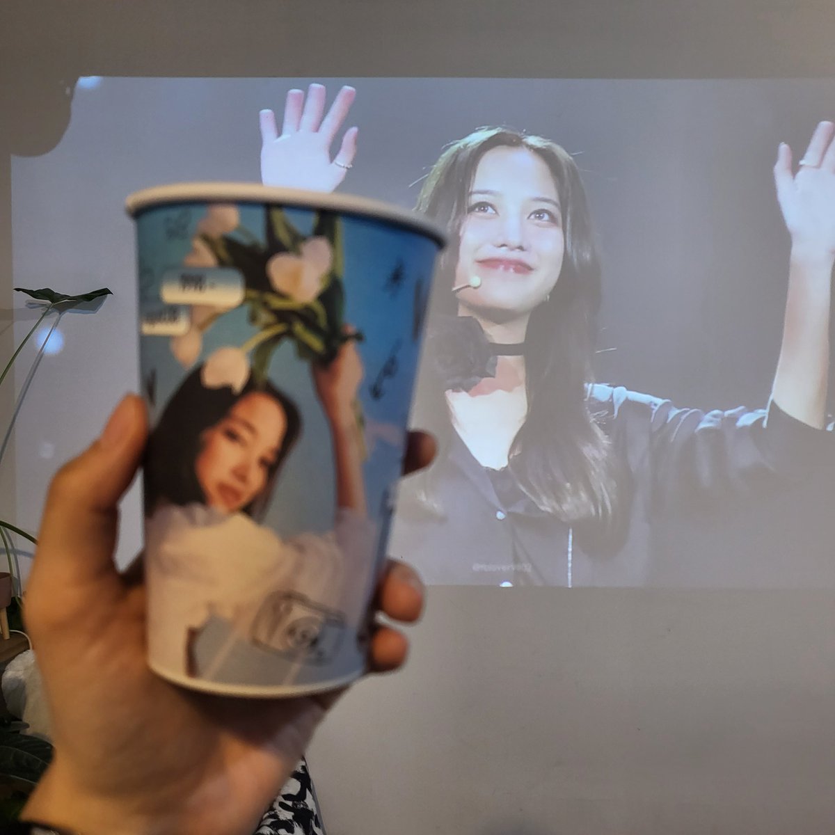 cho_sy_s2's tweet photo. 프린아 생일 축하해🥳
앞으로 웃는 일만 가득하자❣️

#여름은_언제나_프린이의_계절
#srchafreen https://t.co/Vp804O4WCT