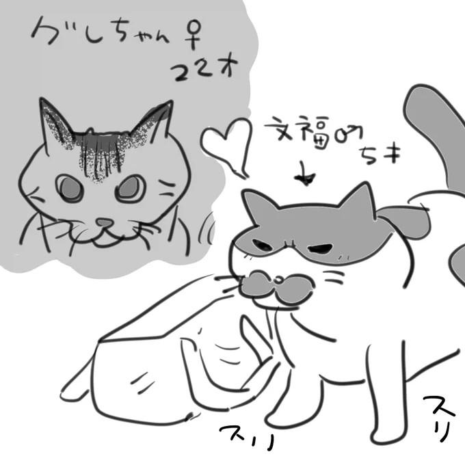 #逆襲の日記 お出かけ先で出会ったねこちゃんの毛をつけて帰宅したら自宅の猫が匂いを嗅いでえらく気に入った雰囲気だった。お相手は22歳のご長寿おばあちゃん猫。ペタジーニのような年の差恋が始まるのか。