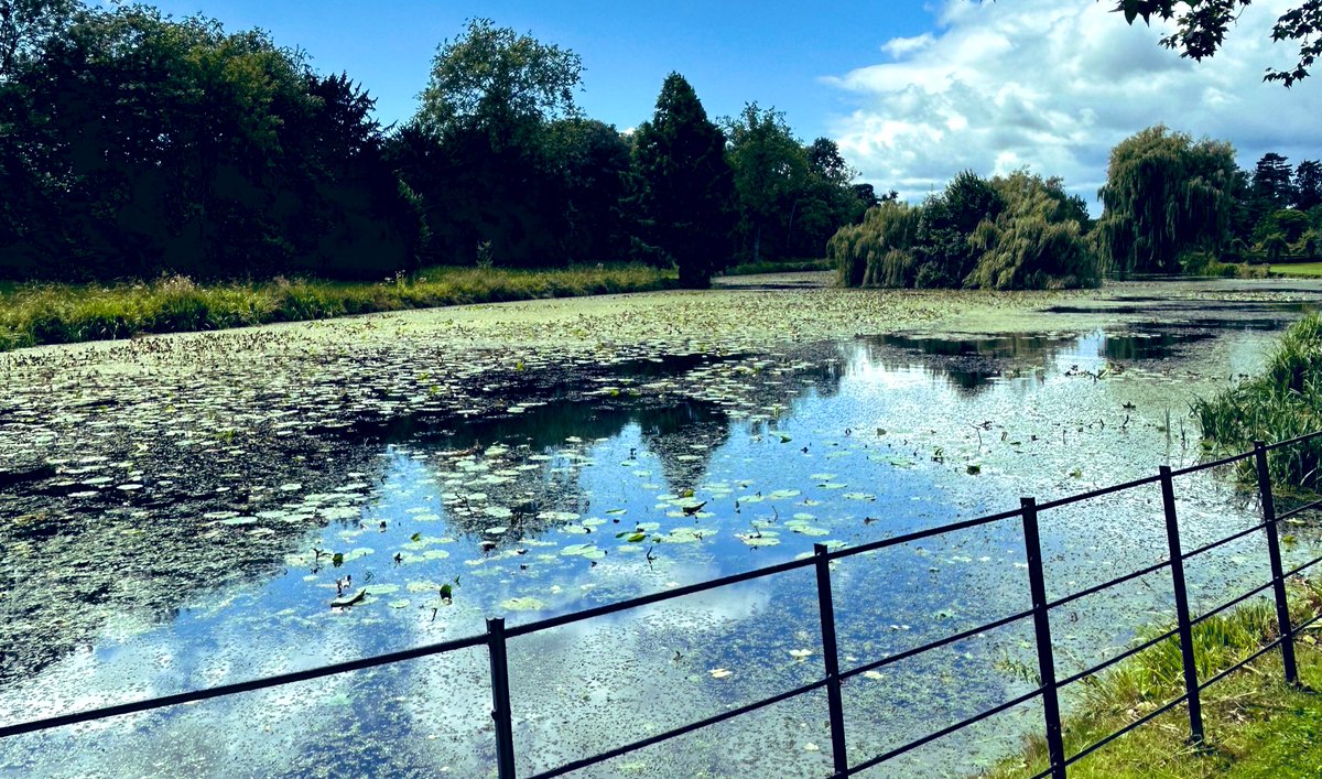 Roger Head OBE tweet media