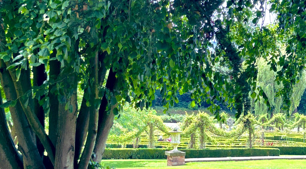 Roger Head OBE tweet media